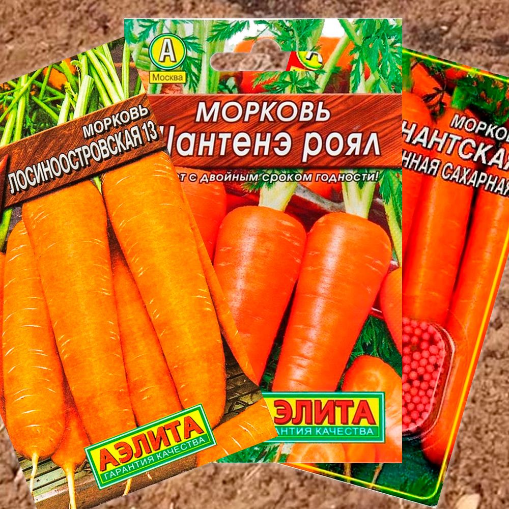 Подзимний посев моркови